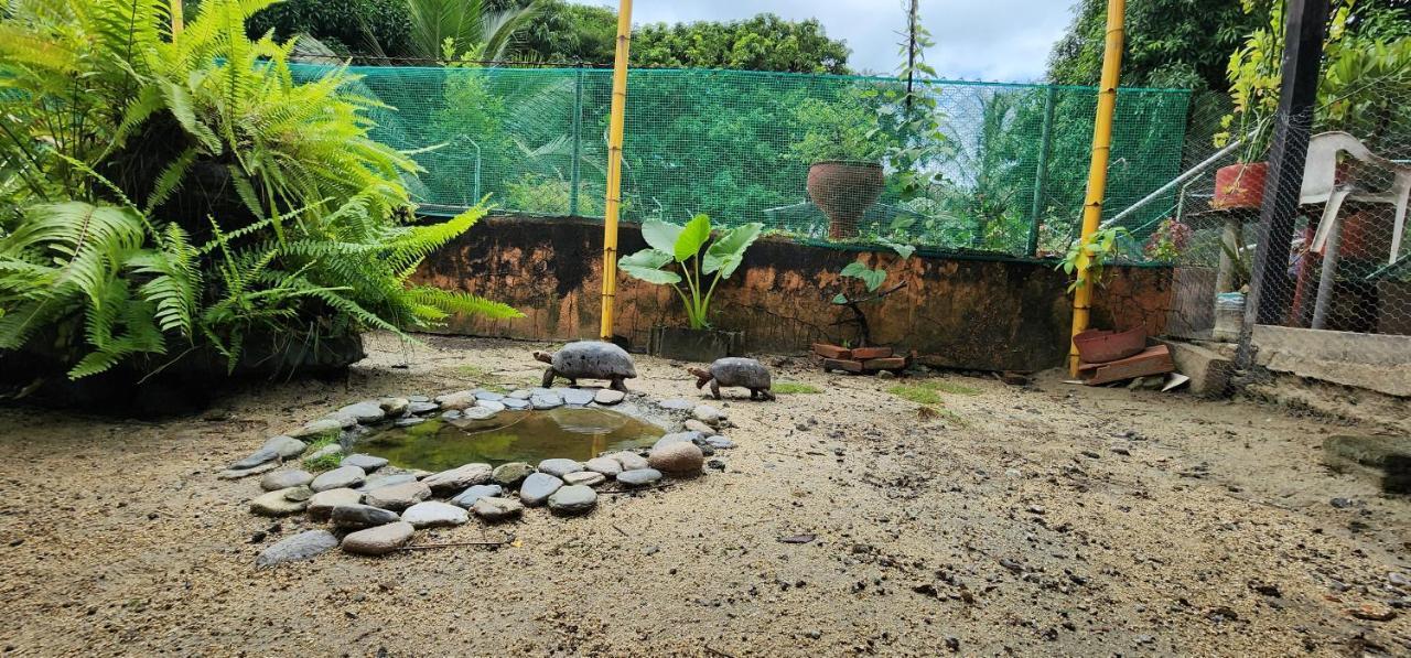 Hostel Finca La Gordita Калабасо Экстерьер фото