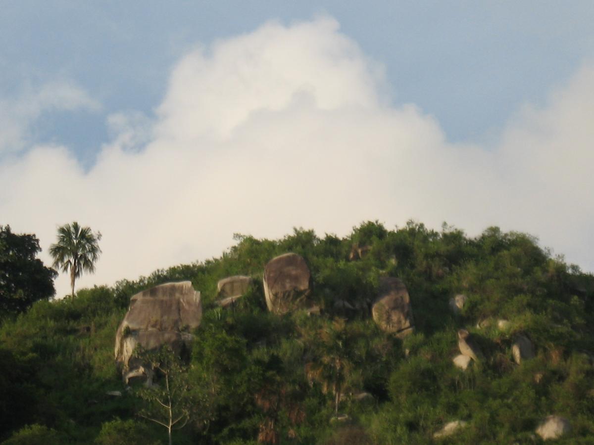 Hostel Finca La Gordita Калабасо Экстерьер фото