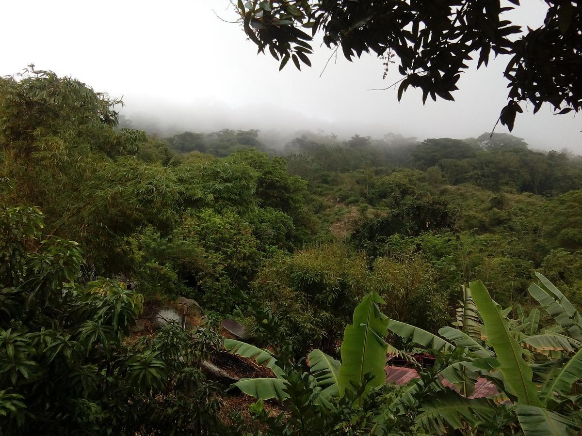 Hostel Finca La Gordita Калабасо Экстерьер фото